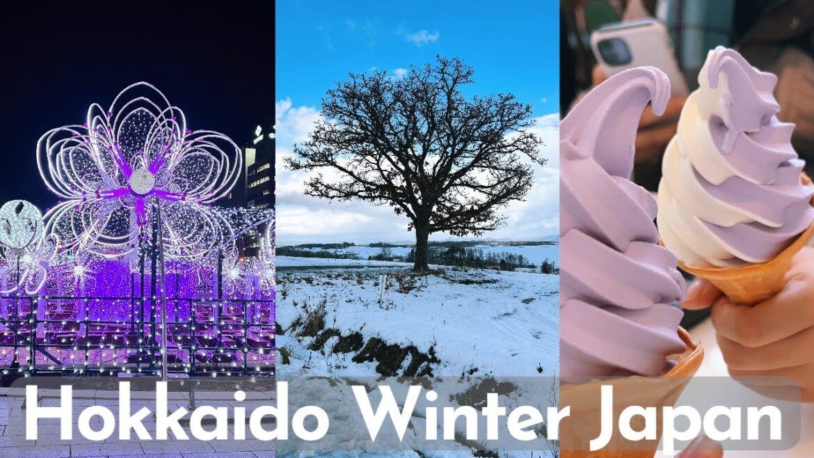 Hokkaido Asahiyama Zoo & Shirahige Falls | Sapporo White Illumination & Market | Klook Trip | 北海道旭川 Hokkaido Asahiyama Zoo & Shirahige Falls | Sapporo White Illumination & Market | Klook Trip | 北海道旭川