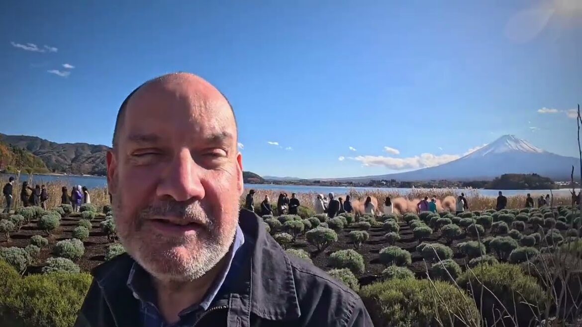 Japan Tour  - Day 4 Compilation - Nov 24