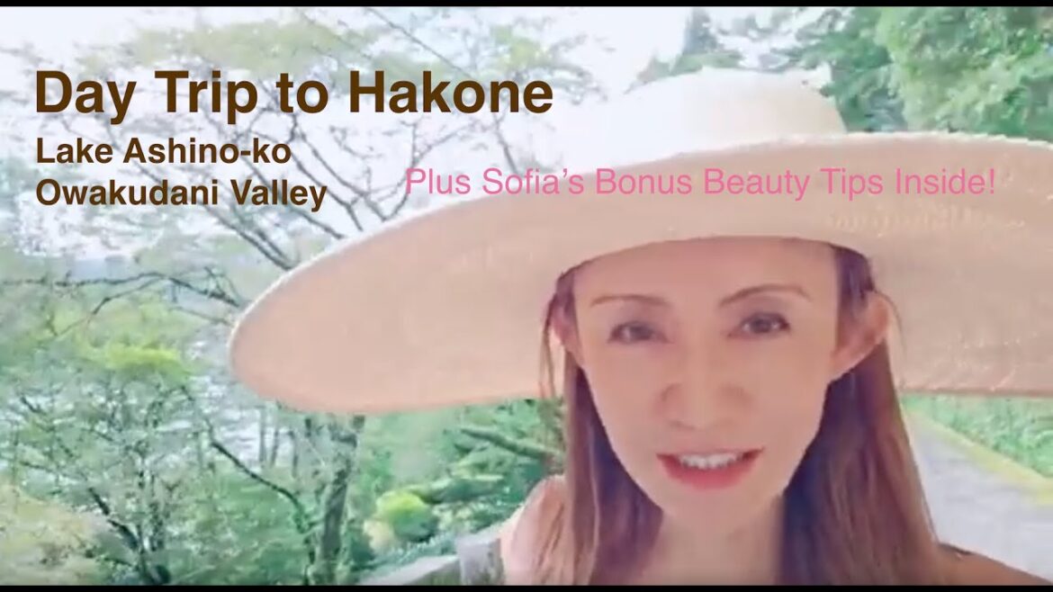 Day Trip to Hakone – Ashinoko Lake & Owakudani Valley Day Trip to Hakone - Ashinoko Lake & Owakudani Valley