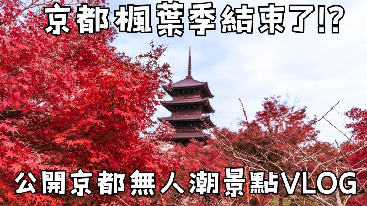京都自由行2024楓葉最新現況VLOG🍁12.10拍攝|高台寺夜楓・京都高雄神護寺・東寺|京都楓葉人潮爆多?!分享無人潮景點|福岡女孩京都自由行必去景點ep49 京都自由行2024楓葉最新現況VLOG🍁12.10拍攝|高台寺夜楓・京都高雄神護寺・東寺|京都楓葉人潮爆多?!分享無人潮景點|福岡女孩京都自由行必去景點ep49