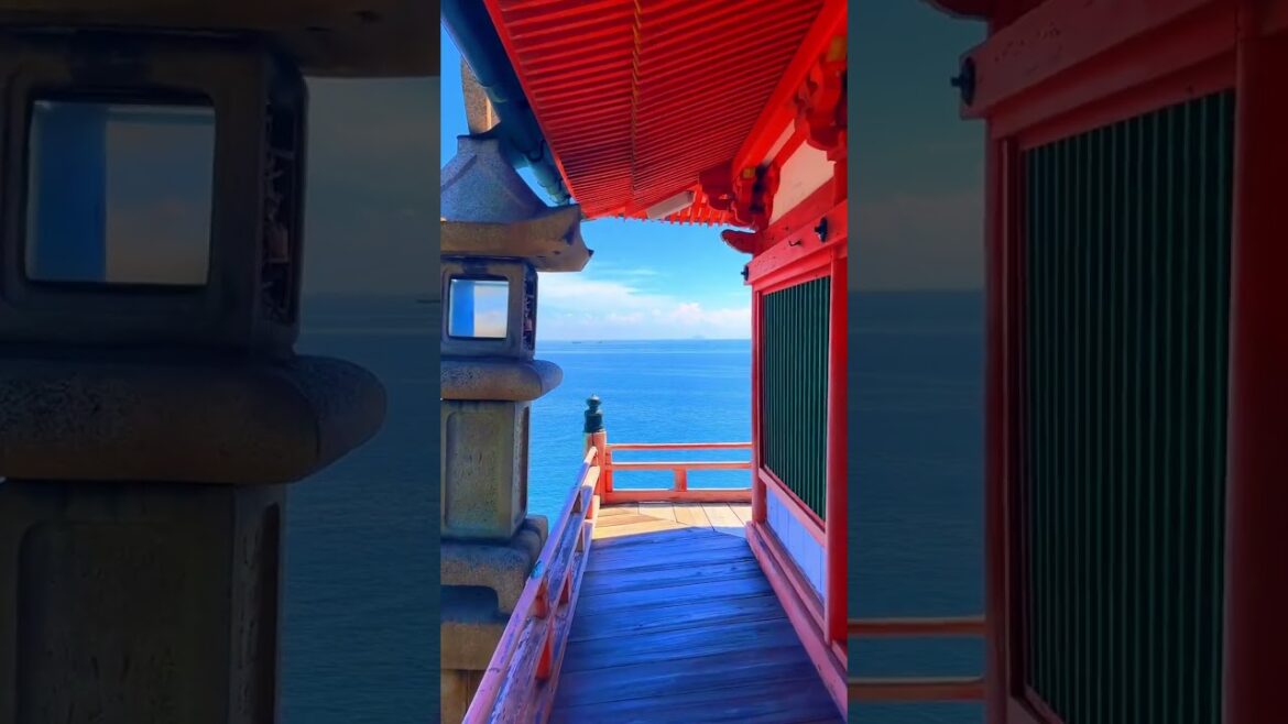 Japanese 4 Seasons  #japan #traveldestinations #travel