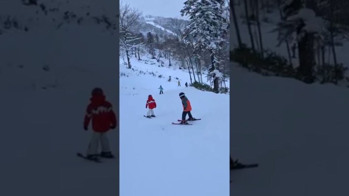 Kids are fearless during skidding.#skiing #tour #travel #japan #hokkaido #kids