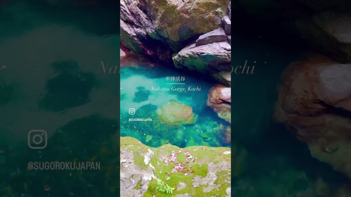 【Nakatsu Gorge 中津渓谷】#shorts #japan #travel #kochi #fall #river
