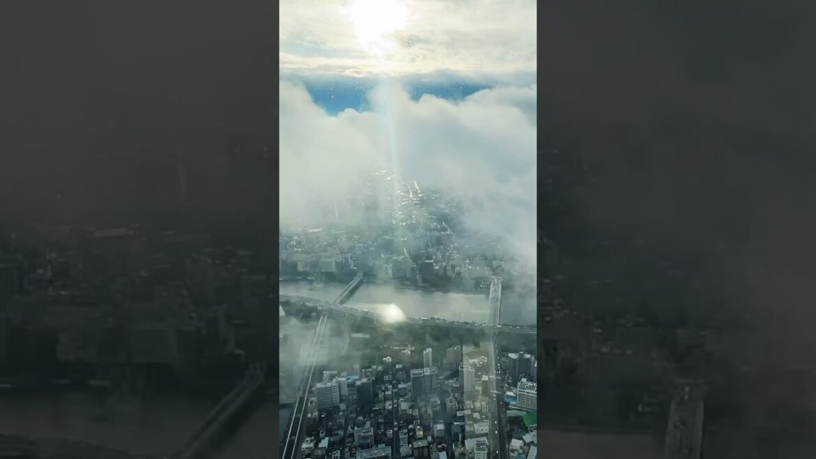 The Sea of Clouds Visible from the World’s Tallest Tower✨ The Sea of Clouds Visible from the World's Tallest Tower✨