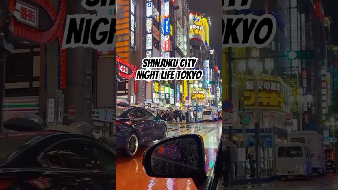 Shinjuku/Tokyo/Night Life#japan#shortsfeed#shorts# Shinjuku/Tokyo/Night Life#japan#shortsfeed#shorts#