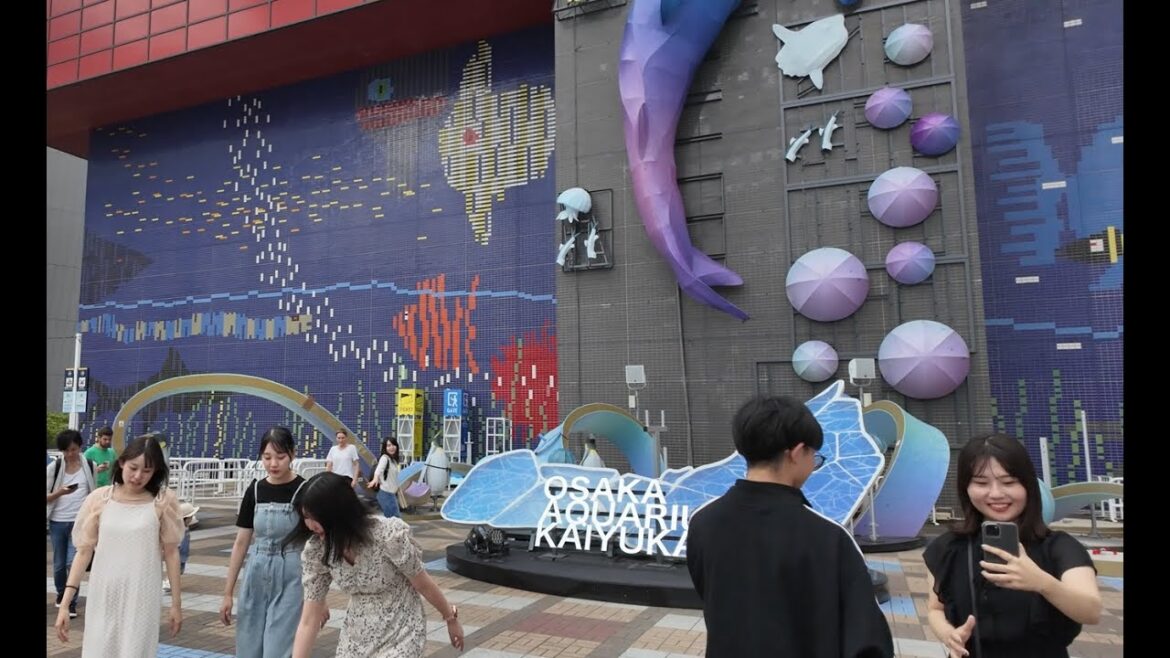 Japan Tour 2024 Osaka Bay Area