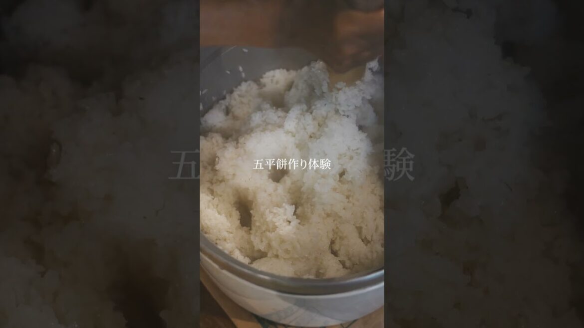 一度は泊まってみたい【茅の宿とみだ】岐阜・恵那