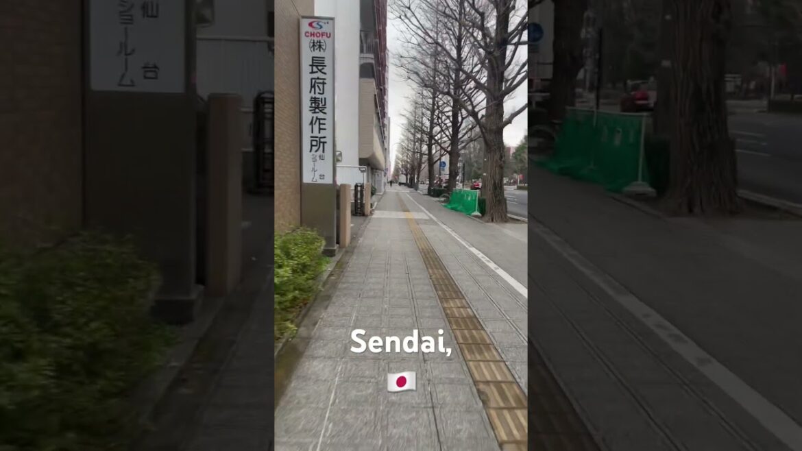 Straight walking 🚶‍♀️  in Sendai, Japan 🇯🇵   #japan ￼ #shorts