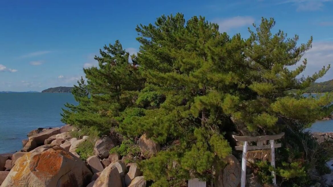 Kyushu at your Doorstep – Hakoshima Shrine in Itoshima Kyushu at your Doorstep - Hakoshima Shrine in Itoshima