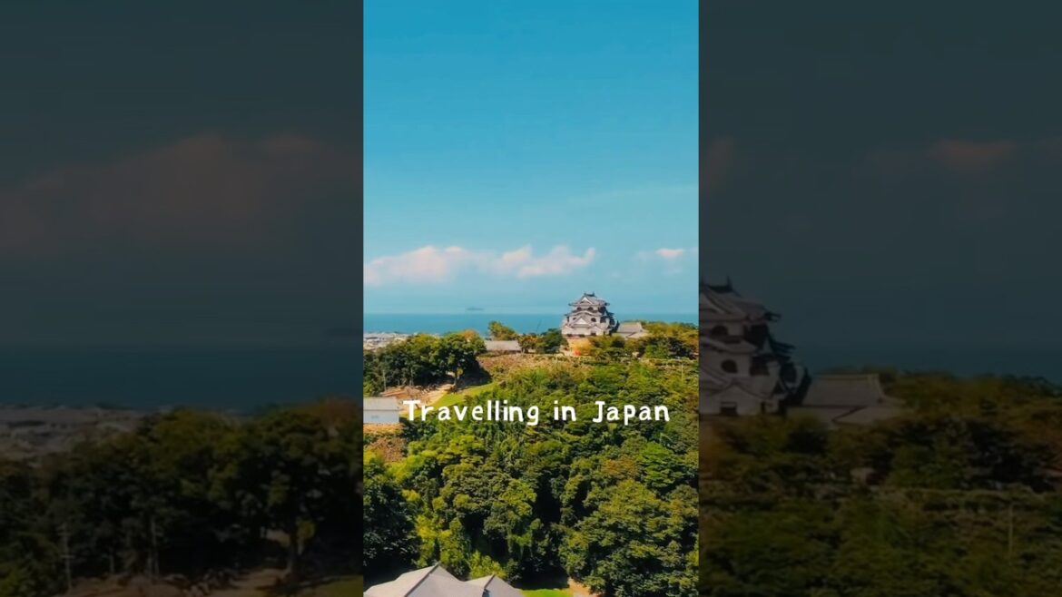 日本旅遊｜關西旅遊｜大阪Osaka｜京都 Kyoto｜奈良 Nara｜Travelling in Japan｜日本環島旅行｜かんさいちほう