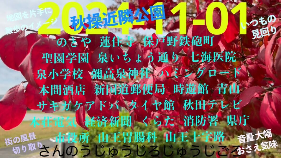 2024-11-01さんのうじゅうじろじゅうじごろ