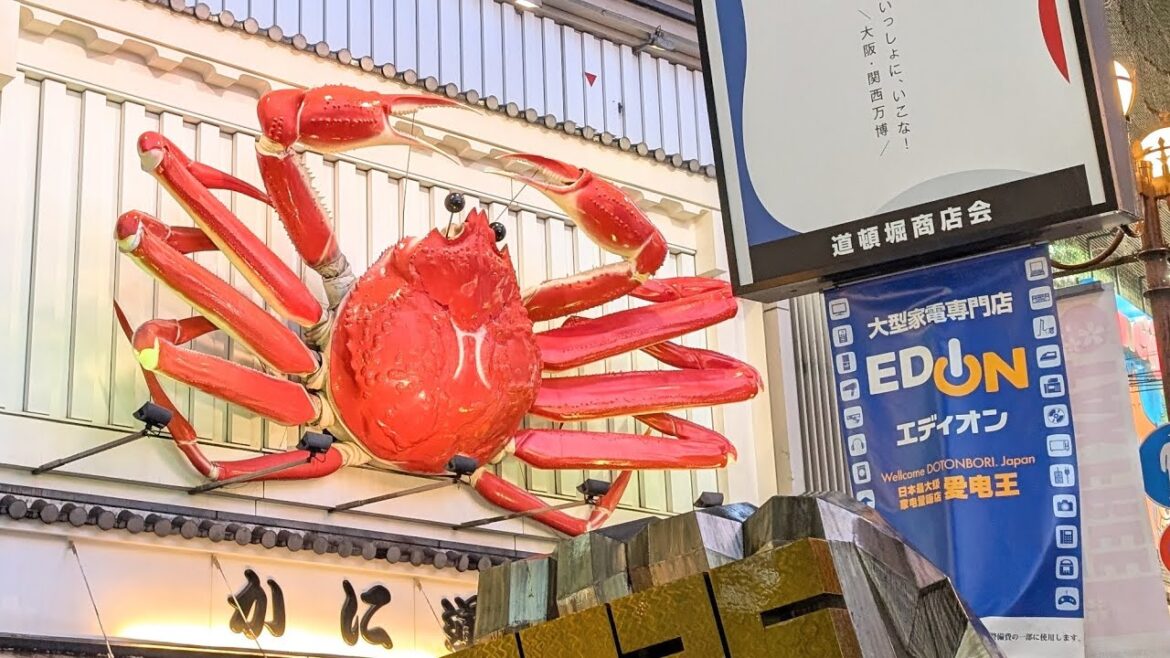 BACK IN THE CITY - Osaka Japan Room Tour