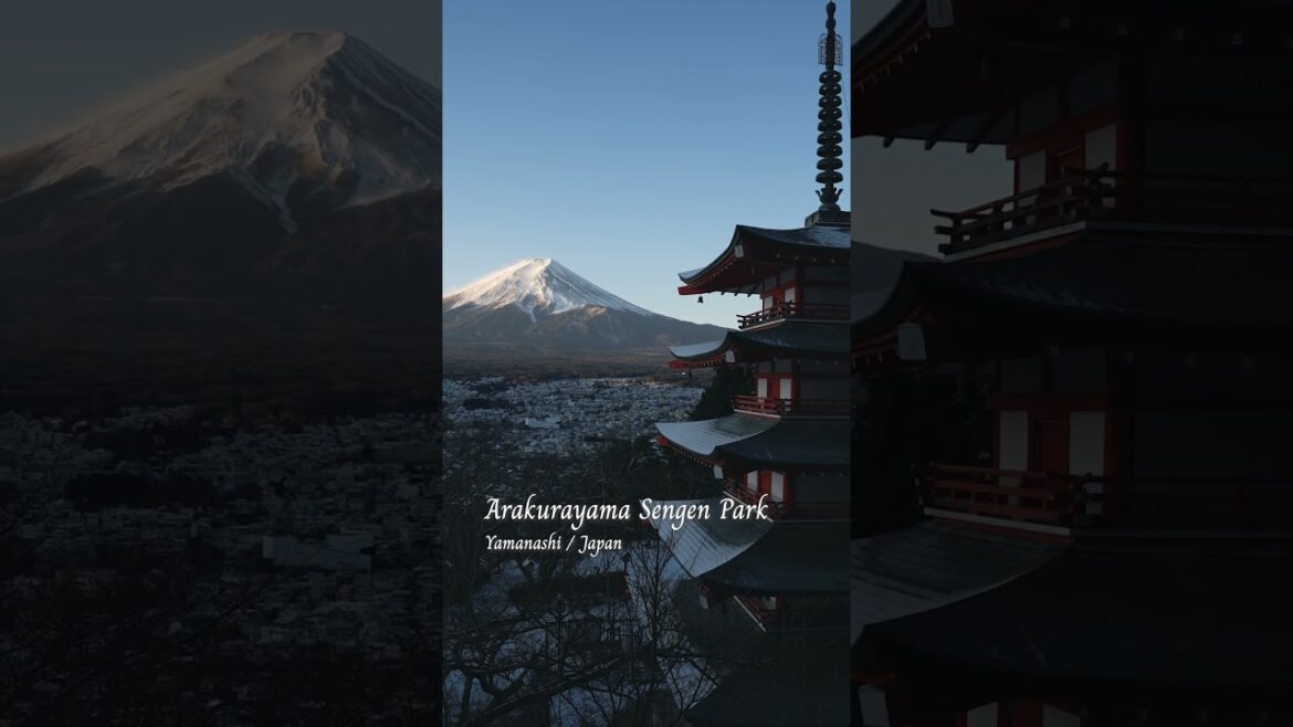 Arakurayama Sengen Park｜Yamanashi｜JAPAN