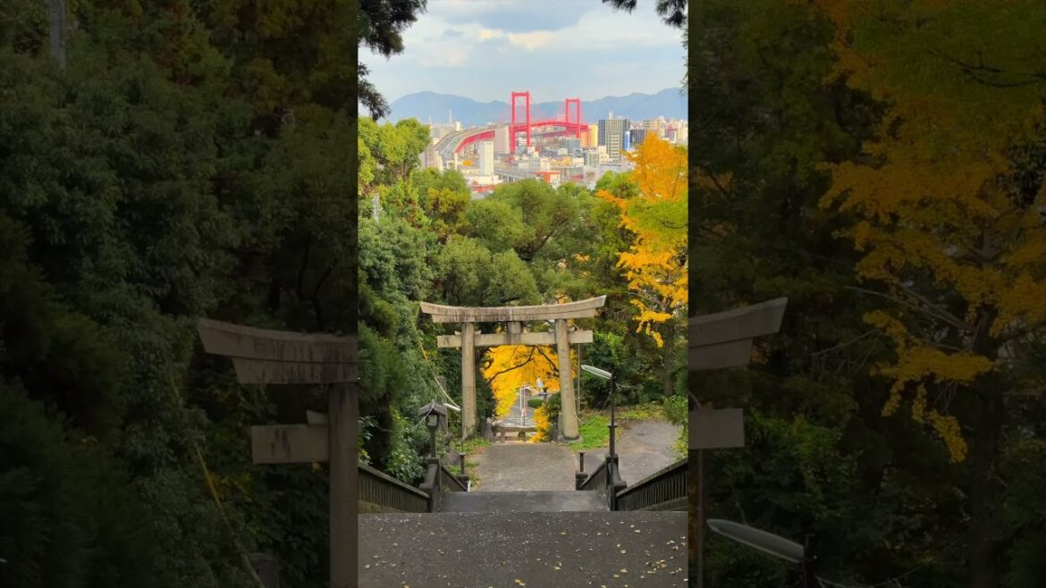 福岡の穴場神社から見える景色が絶景すぎた…📍福岡県北九州市若松区　#白山神社