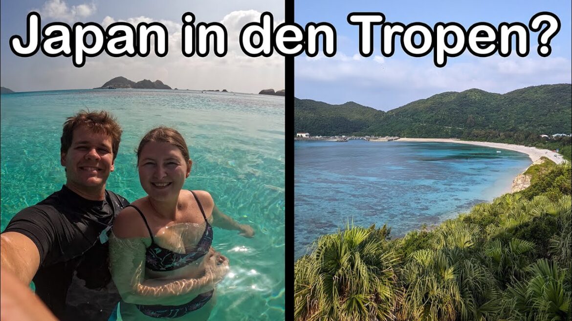 Tokashiki, Okinawa: Ein tropisches Paradies ☀️ – Weltreise Vlog 093 Tokashiki, Okinawa: Ein tropisches Paradies ☀️ - Weltreise Vlog 093