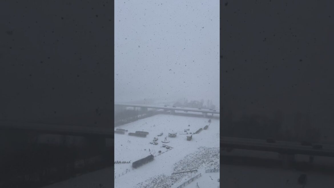 Snowfall by the river - Sapporo, Japan November 8th, 2024