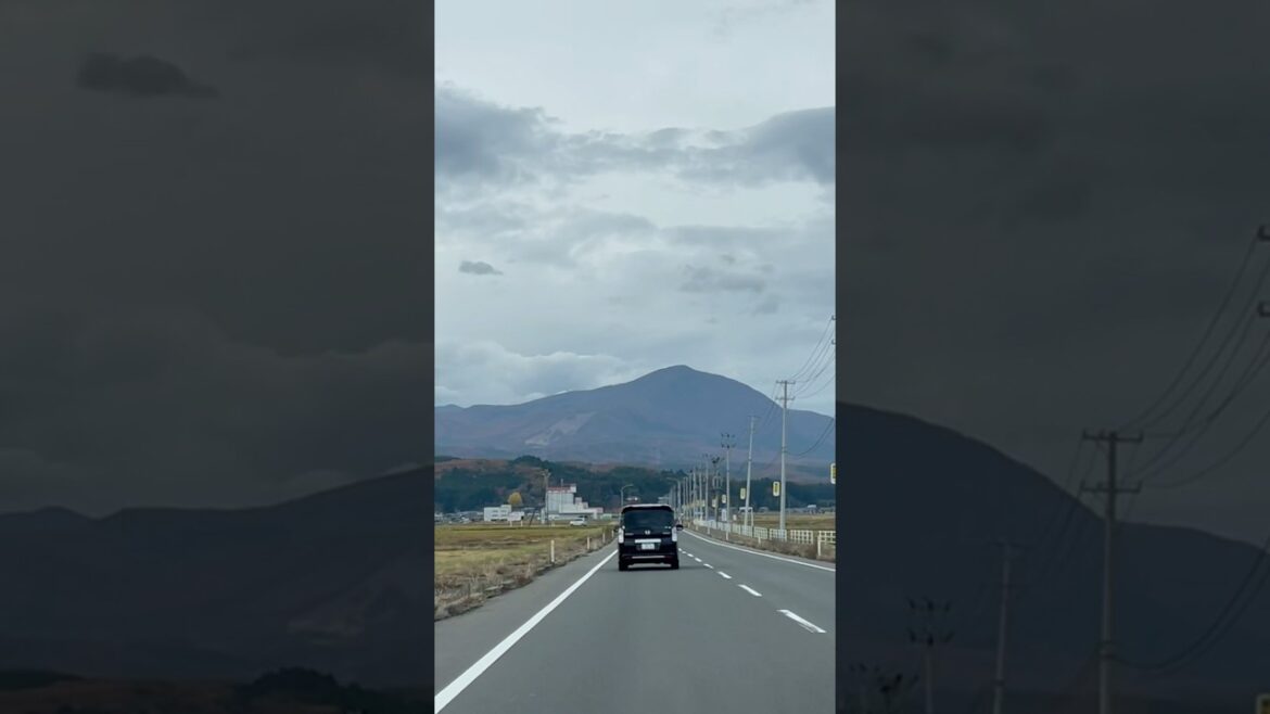 Long drive.  #longdrive  #sendai  #japan  #ajighanta #shortsvideo