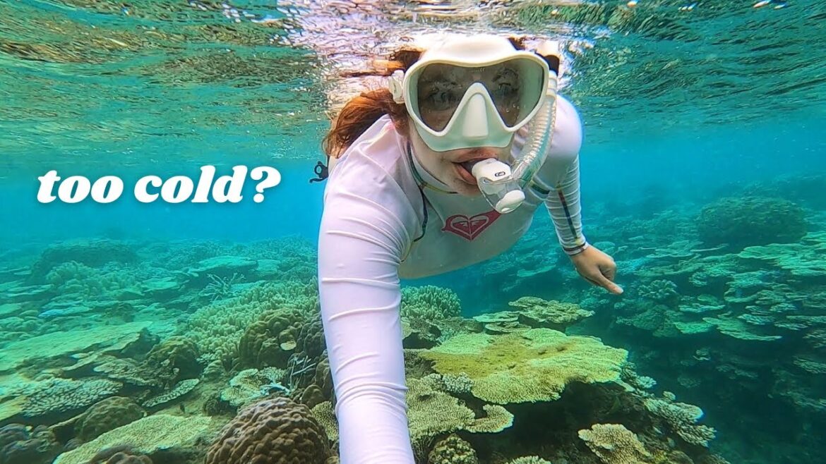 Can I Still Swim in Winter in Okinawa, Japan? Can I Still Swim in Winter in Okinawa, Japan?