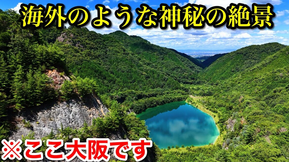 【ここ知ってる?】大阪にこんな絶景があったのか…。秘境と穴場の絶景を巡る車中泊旅!海外のような絶景と苔むしたジブリのような世界の神社とお寺!関西【Jackery 1000 New】 【ここ知ってる?】大阪にこんな絶景があったのか…。秘境と穴場の絶景を巡る車中泊旅!海外のような絶景と苔むしたジブリのような世界の神社とお寺!関西【Jackery 1000 New】