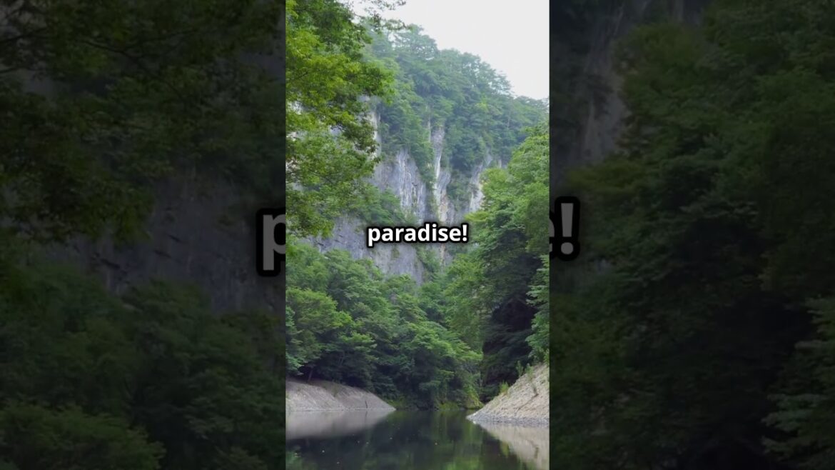 Beautiful Places in Japan! Part 14 #travel #japan #tokyo Beautiful Places in Japan! Part 14 #travel #japan #tokyo