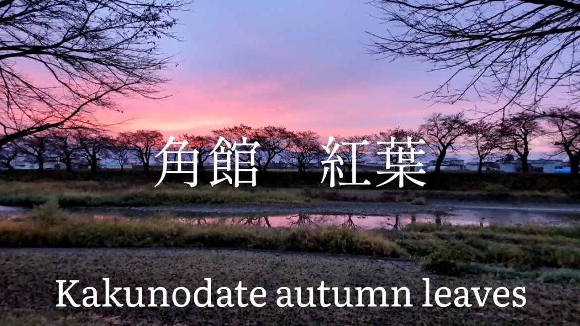 秋田県観光　武家屋敷街　角館　紅葉　Akita Prefecture Tourism Samurai Residences Kakunodate Autumn Leaves Japan