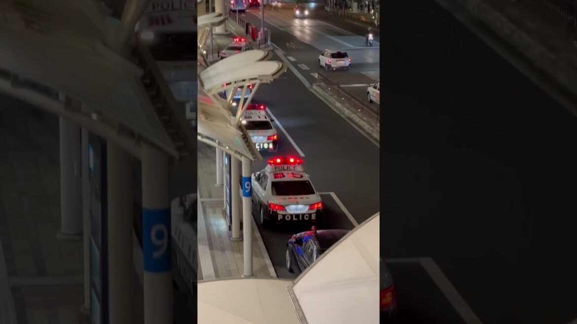 【沖縄】何があった⁉︎ 那覇バスターミナルに多くのパトカーがいる… #shorts