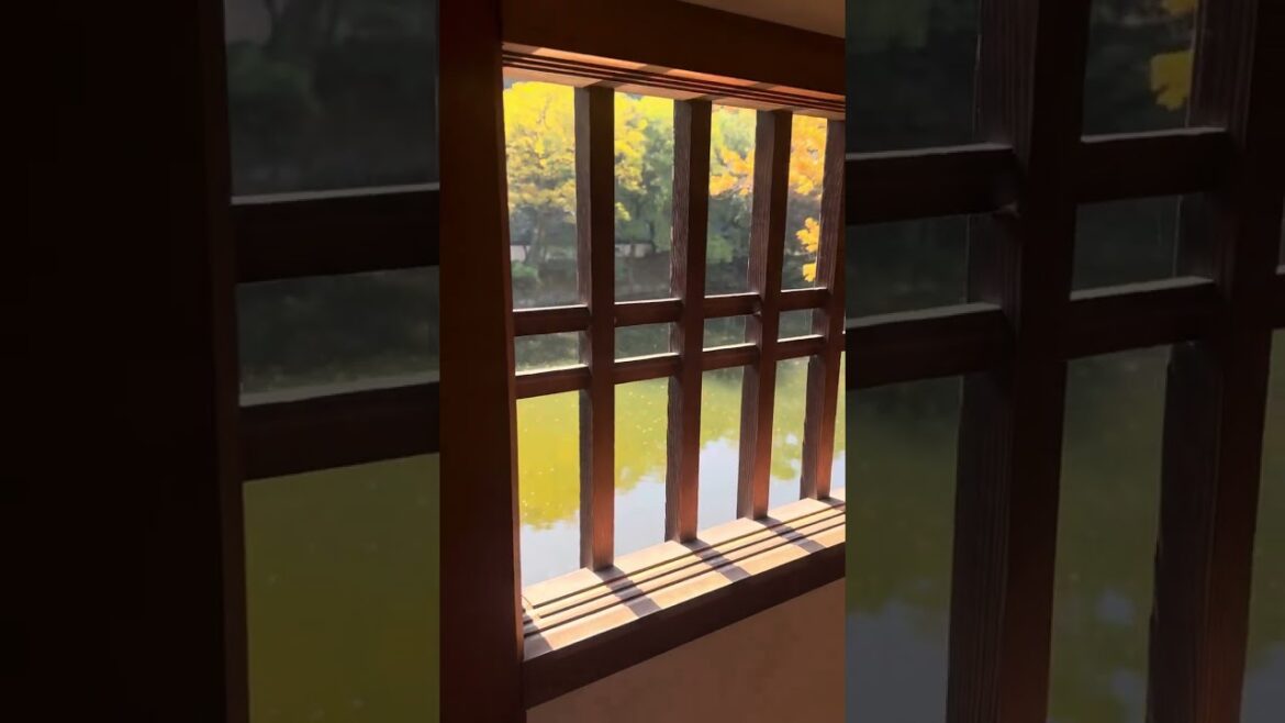 Wakayama Castle wooden bridge