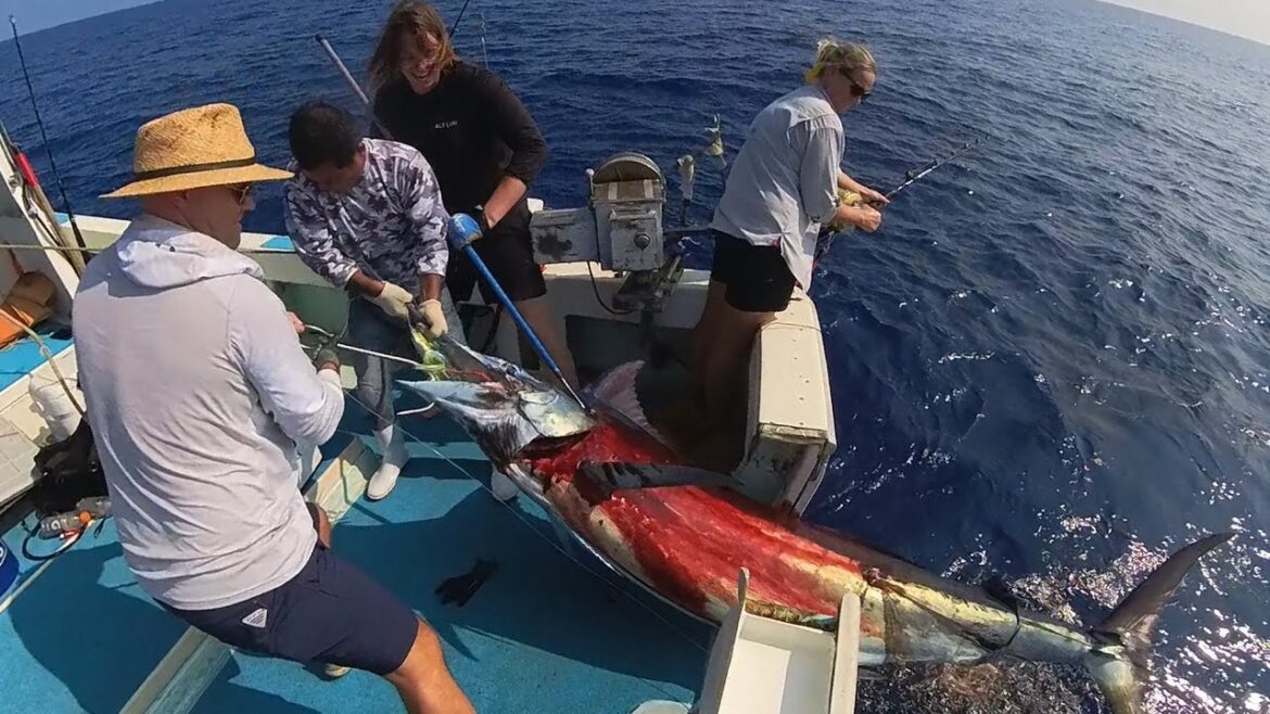 Monster Black Marlin in the Boat! Doubled on Marlin Okinawa Japan Fishing
