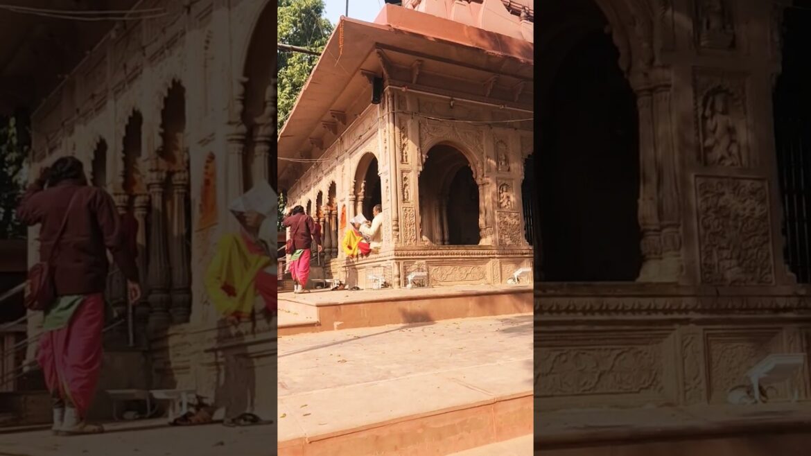 Nagasaki Mandir Prayagraj #mandir #shiv #famous #viral #shorts #darshan #tour #travel#subscribe#art