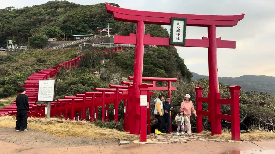 26/11/24 (Day 3) Fukuoka, Kyushu, Japan