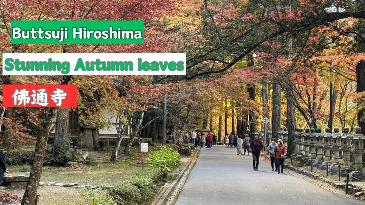 Stunning Autumn Leaves in Buttsuji temple Hiroshima