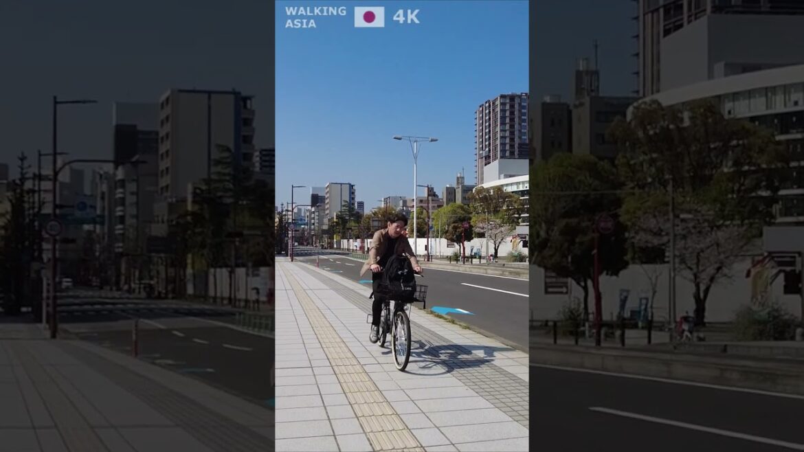 🇯🇵 Experience #Fukuoka in #Japan with us! #Shorts