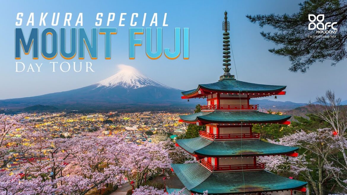 Sakura Special: Mount Fuji Day Tour