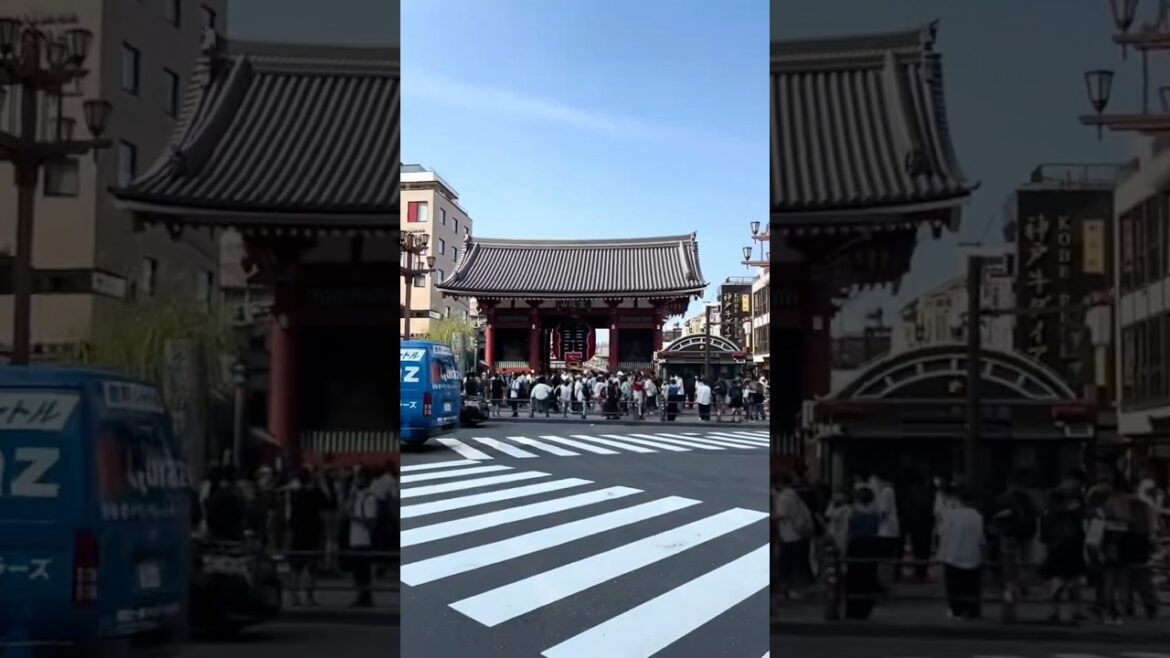 A glimpse of Asakusa 🏮japan #shorts #tokyo #japantravel