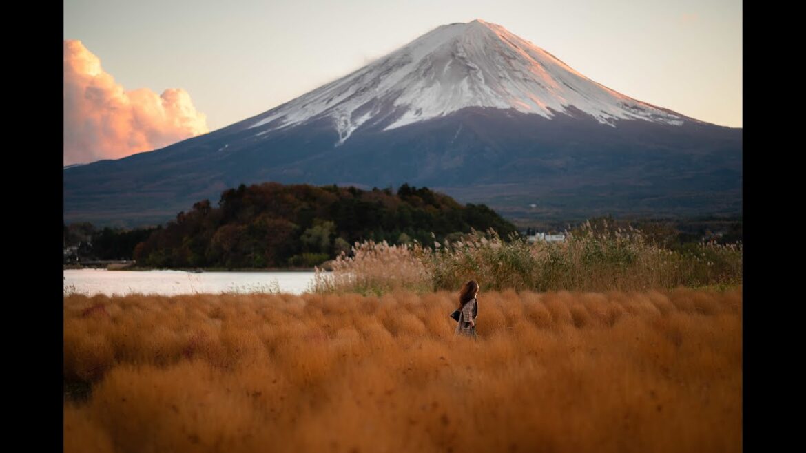 Japan diary | A day in Fujikawaguchiko Japan diary | A day in Fujikawaguchiko