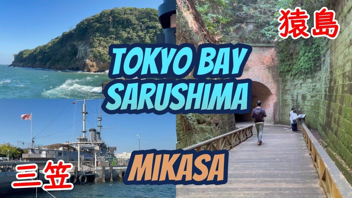 [Tokyo Bay] Leisurely trip around Battleship Mikasa and the uninhabited island Sarushima [Yokosuka]