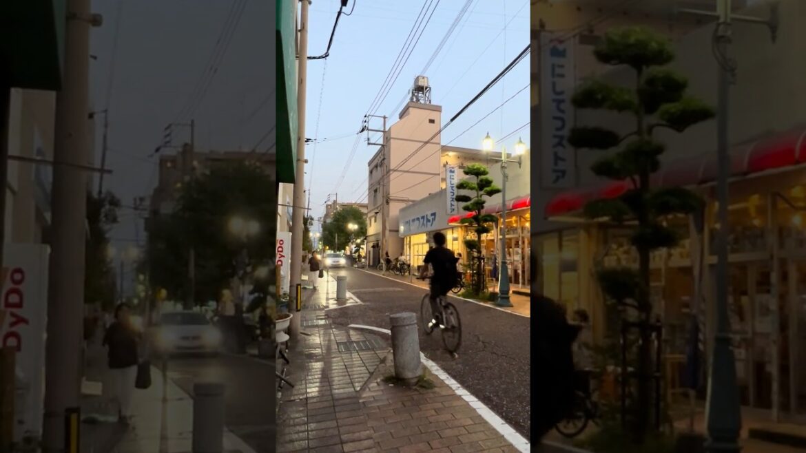 6:19pm Japan City #eveningwalk #neighborhood #streetview #citylife #explorejapan #japantravel