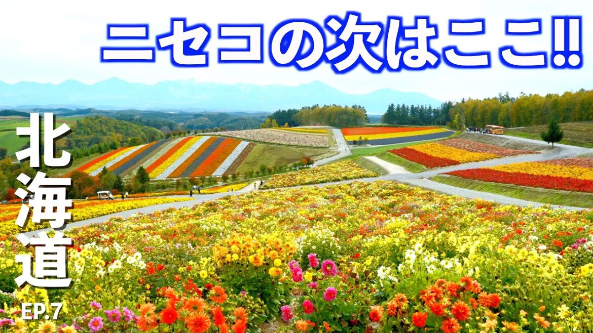 【北海道】ニセコ・白馬を抑えて日本一の地価上昇率の街はここだった!!｜帯広｜美瑛｜四季彩の丘｜北の峰町｜グルメ｜ドライブ｜田舎暮らし｜北海道｜4K