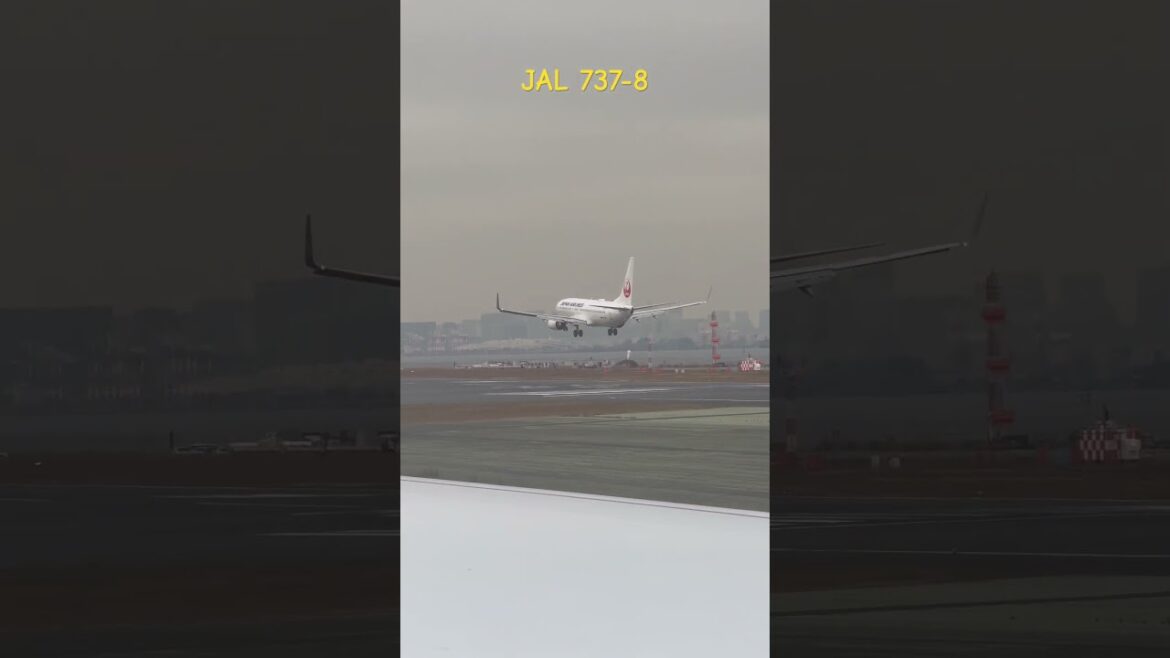 JAL-164 (JA316A) from Akita landing on runway 34R at Tokyo Haneda airport 13-12-24