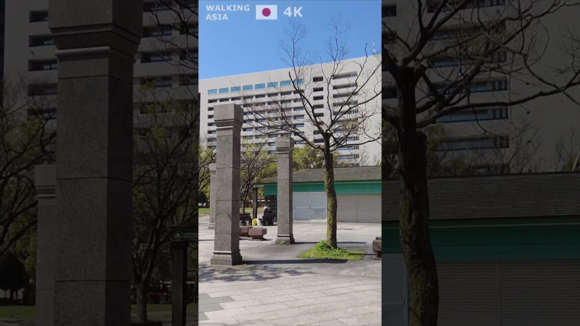 🇯🇵 Experience #Fukuoka in #Japan with us! #Shorts