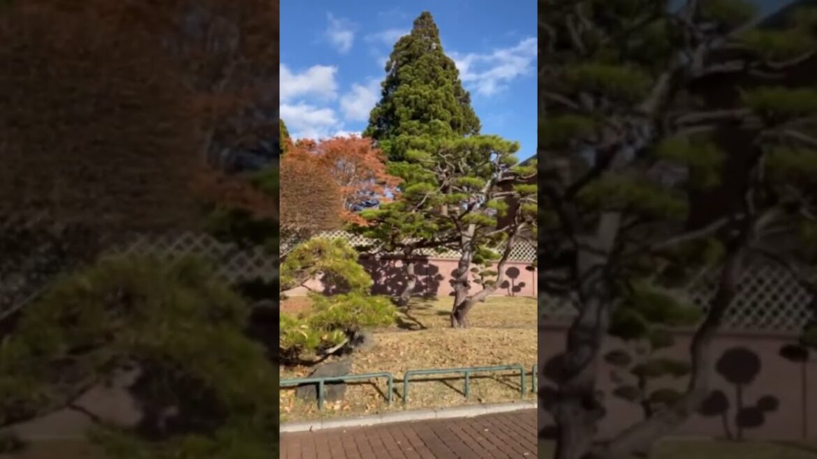 【HOKKAIDO】Must-See Tourist Attraction – Torapischinu Shudoin 【HOKKAIDO】Must-See Tourist Attraction - Torapischinu Shudoin