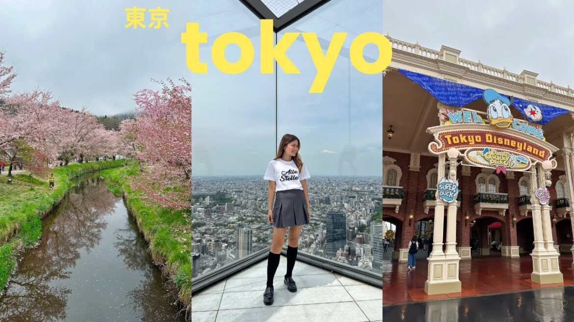 Tokyo Vlog 🇯🇵🌸 | Explored around Mt. Fuji, Shibuya Sky, Tokyo Disneyland and Shinjuku