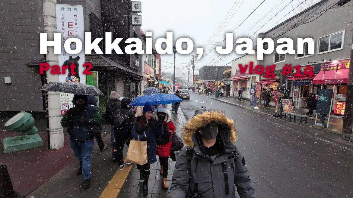Hokkaido Japan Vlog 14 : Part 2 Highlights – More Snow, Food, and Shopping! Hokkaido Japan Vlog 14 : Part 2 Highlights - More Snow, Food, and Shopping!