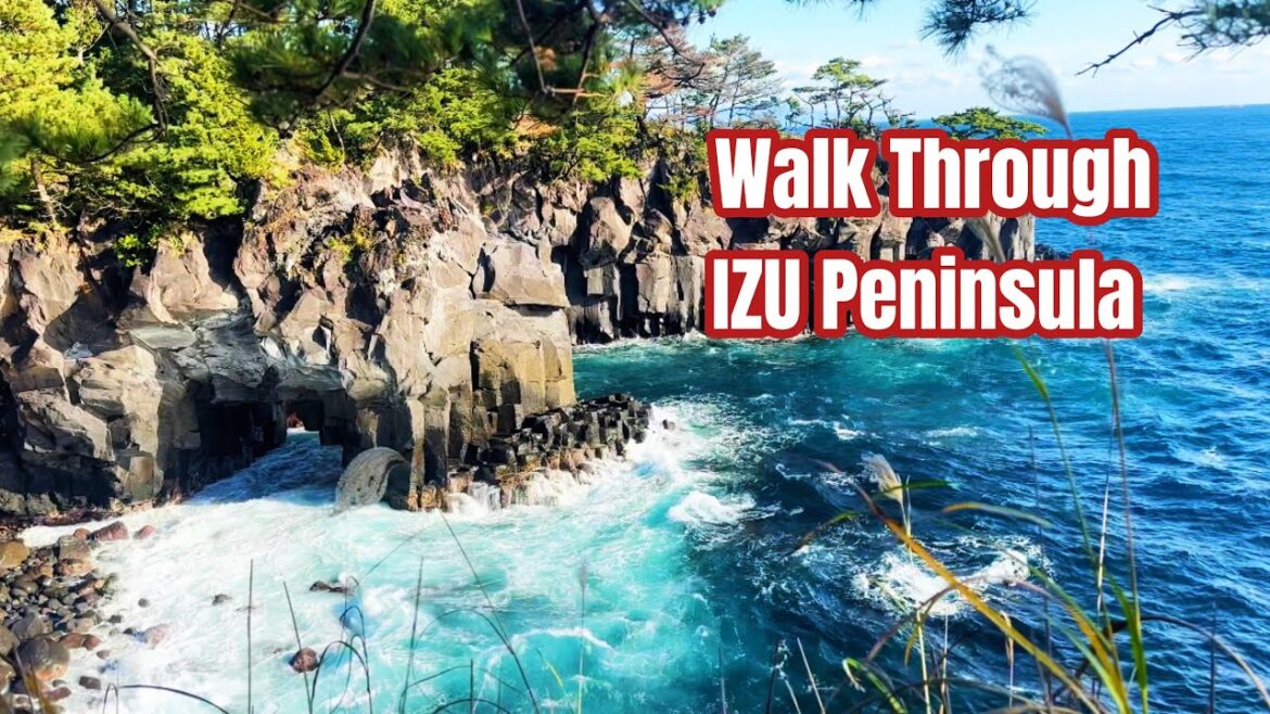 Walk through Beautiful Izu Peninsula, Shizuoka | Japan Travel Vlog | 対島の滝 静岡 🌿🌊
