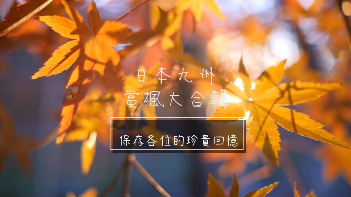 人生軌跡 | 日本熊本福岡溫泉行大合輯 人生軌跡 | 日本熊本福岡溫泉行大合輯