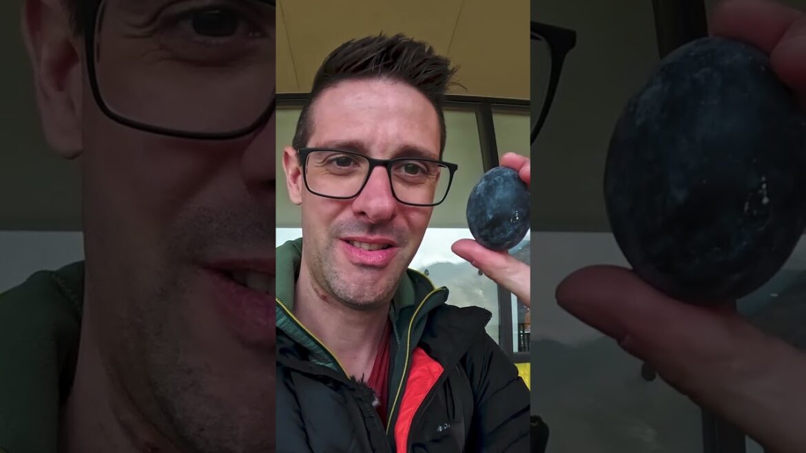 Hakone Getaway | Hot Springs, Black Eggs & Volcano Adventure Hakone Getaway | Hot Springs, Black Eggs & Volcano Adventure