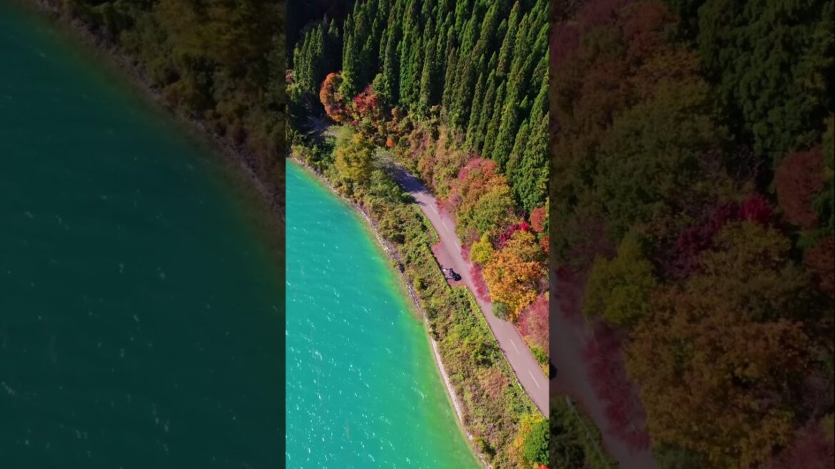 空から見た秋田の絶景  #絶景 #4kドローン空撮 #drone