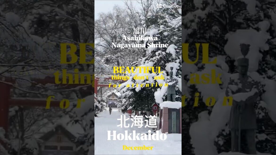❄️Hokkaido•北海道｜Asahikawa 旭川 Nagayama Shrine|December #winter #travel |Like & Follow for full video❤️