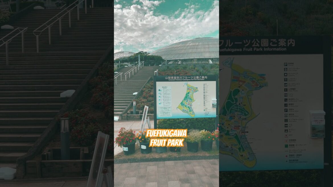 Yuru Camp Pilgrimage Part 1 - Fuefukigawa Fruit Farm and Hottarakashi Onsen