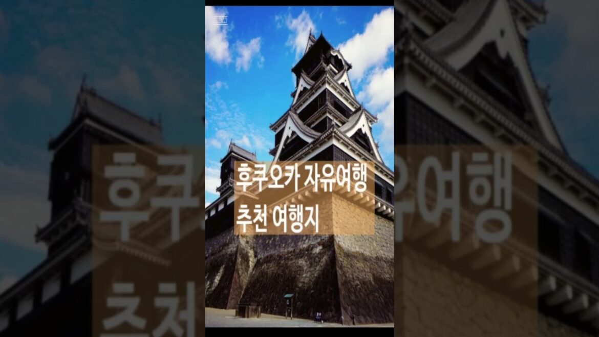 후쿠오카 추천 여행지 Recommended Travel Destinations in Fukuoka #여행 #short